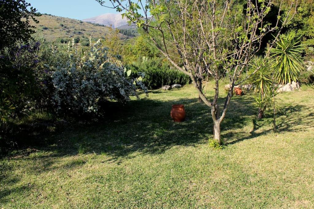 Fragosiko - Rustic Retreat In Kefalonia อาร์กอสโตลี ภายนอก รูปภาพ