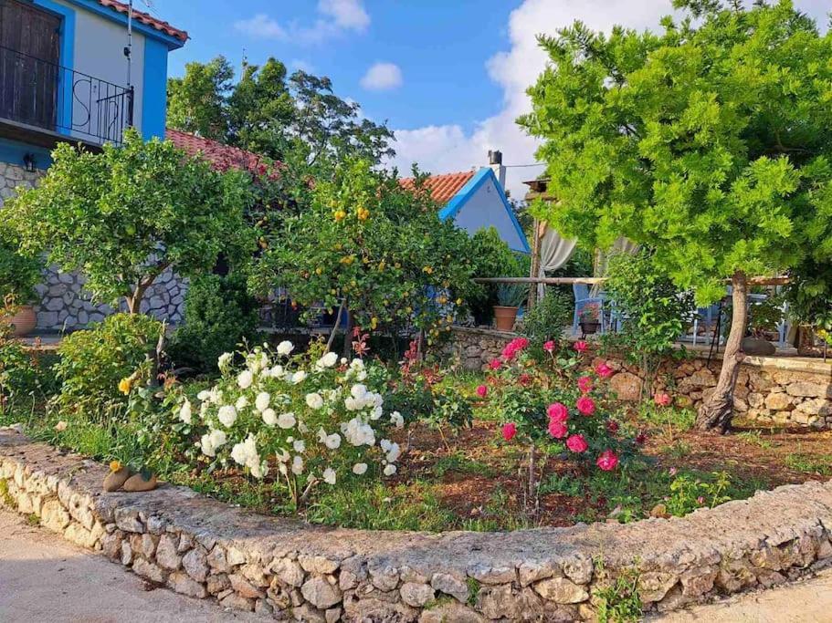 Fragosiko - Rustic Retreat In Kefalonia อาร์กอสโตลี ภายนอก รูปภาพ