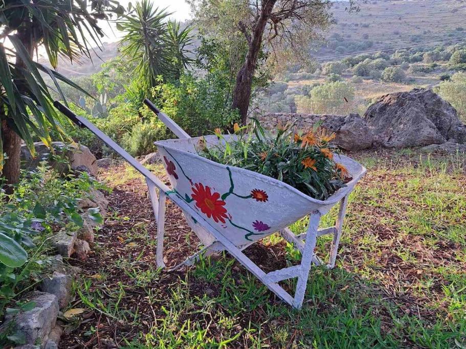 Fragosiko - Rustic Retreat In Kefalonia อาร์กอสโตลี ภายนอก รูปภาพ